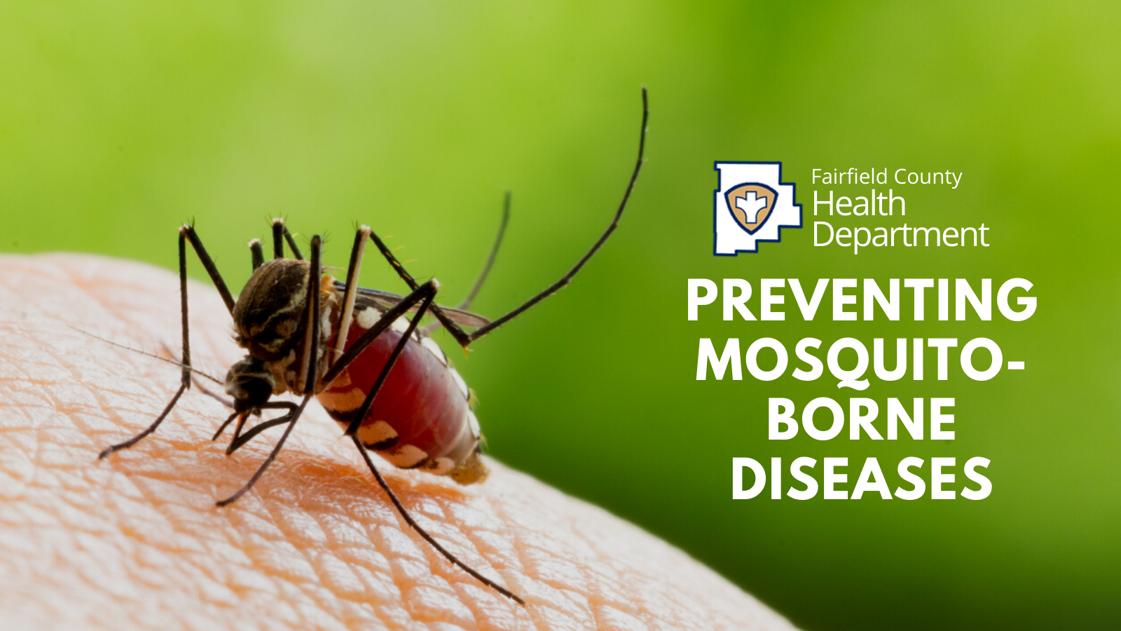 Preventing Mosquito-borne Diseases ad